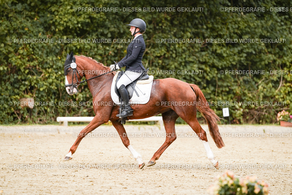 DSC03753 | Pferdegrafie