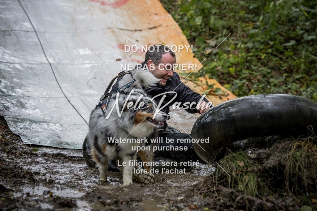 nelerasche_Hunsrück_Sa0930-1000_484-final | nelerasche
