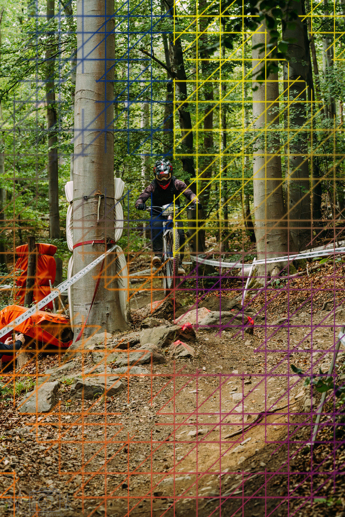 PAE-2119 | Einzigartige Fotokunst für dein Zuhause: Entdecke hochwertige Wandbilder, edle Prints und emotionale Motive von Wildlife, Natur und Landschaften - Realisiert mit Pictrs.com