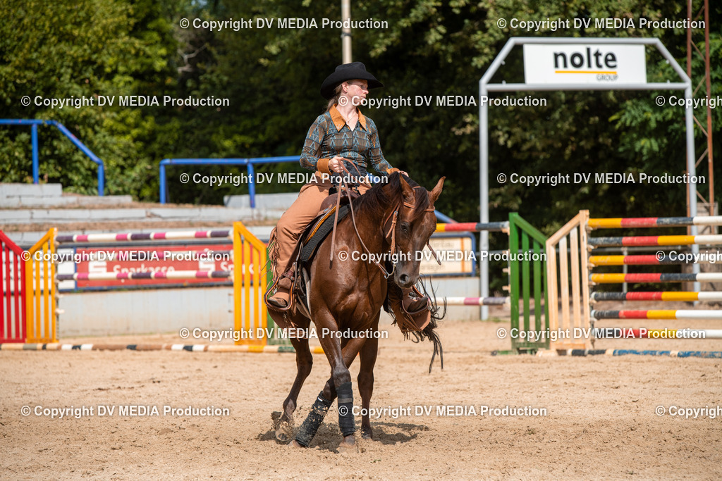 EWP_5992 | dv-media-shop - Realisiert mit Pictrs.com