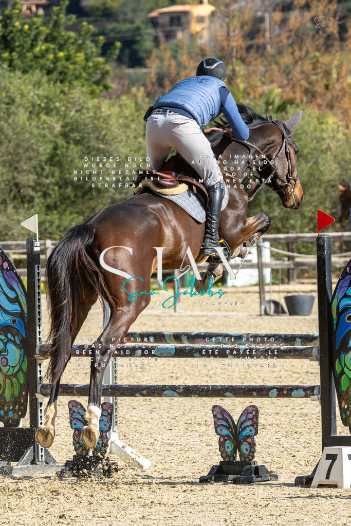 IMG_4000 | s-jay-photography - Realisiert mit Pictrs.com