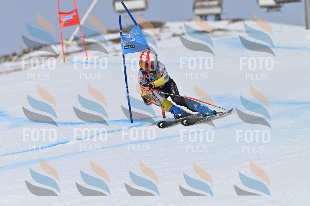 BGV_4600 | holidayphoto