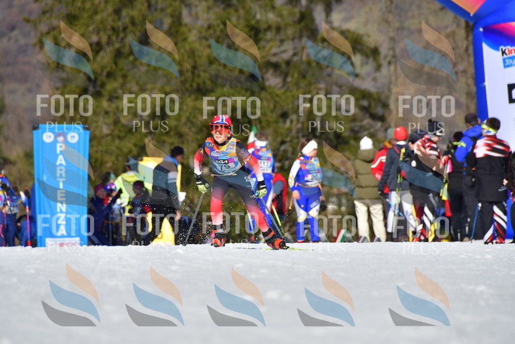 _DSC9372 | holidayphoto