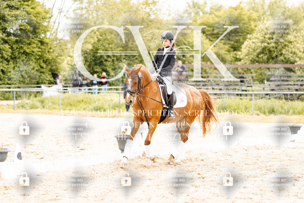 CK904589 | Turnierfotografie Pferdefotografie Trier Rheinland-Pfalz Pferdesport Reitsport Tierfotografie Sportfotografie Pferdevideo Pferdevideografie Equestrianvideography equestrianphotography  - Realisiert mit Pictrs.com