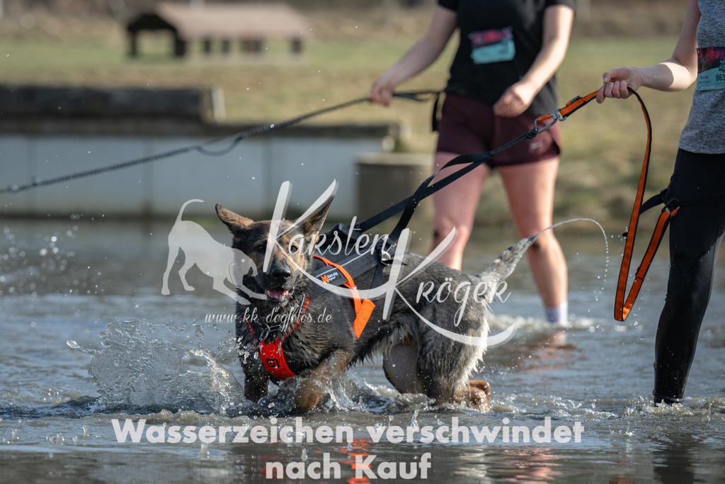 1316_ZZ95539 | kk-dogfotos
