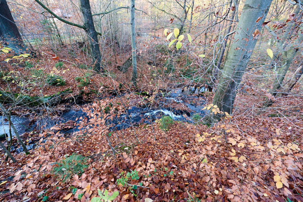 Am Seerenbach 03 | Bedeutsame Landschaften Deutschlands - Realisiert mit Pictrs.com