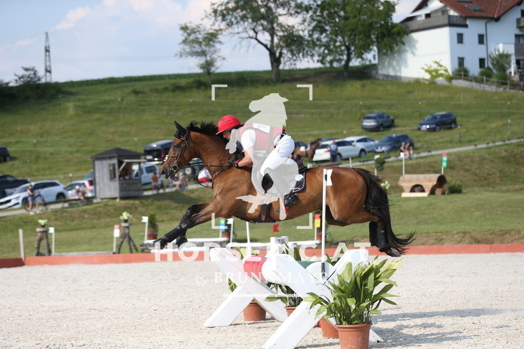 DL2Q3124 | Willkommen bei Brunnmayr - Design & Fotografie – Ihrem Spezialisten für Reitturniere und Pferdeveranstaltungen in Oberösterreich, Salzburg und Bayern! Seit über 17 Jahren sind wir leidenschaftlich dabei.