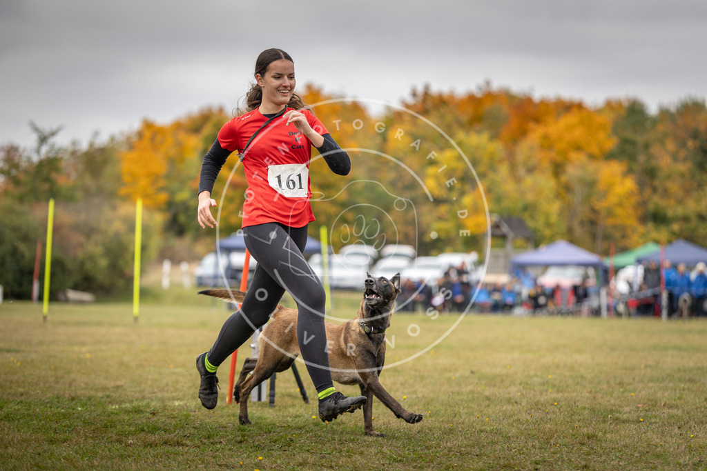 Pfotenfotografie_DV3A5224 | Hundefotografie, Tierfotograf, Pfotenfotografie, Fotoshooting Hund, Hunde Portrait, Hundesport, Hundeportraits, Heideshooting, Hunde, Sportfotograf, Hundefotograf, Turnierhundsport, THS,  - Realisiert mit Pictrs.com
