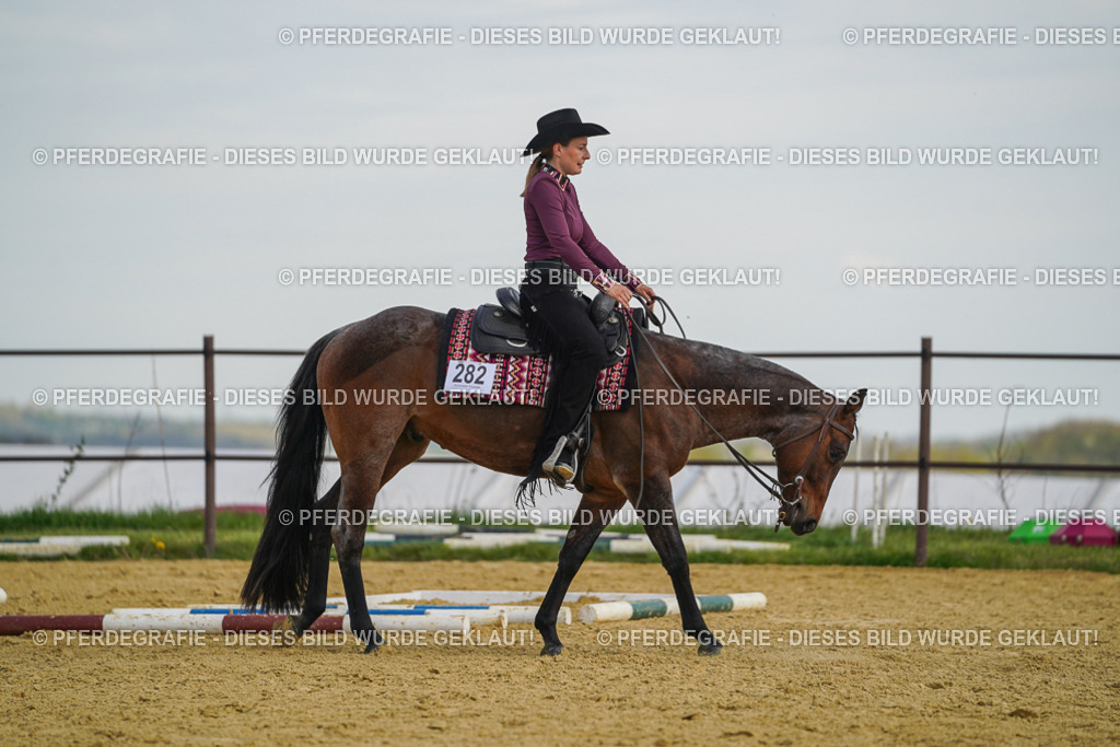 DSC05043 | Pferdegrafie