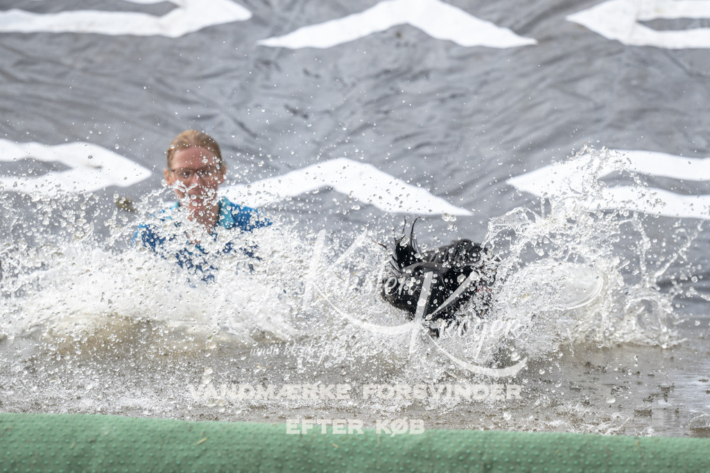 1203_ZZ94161 | kk-dogfotos