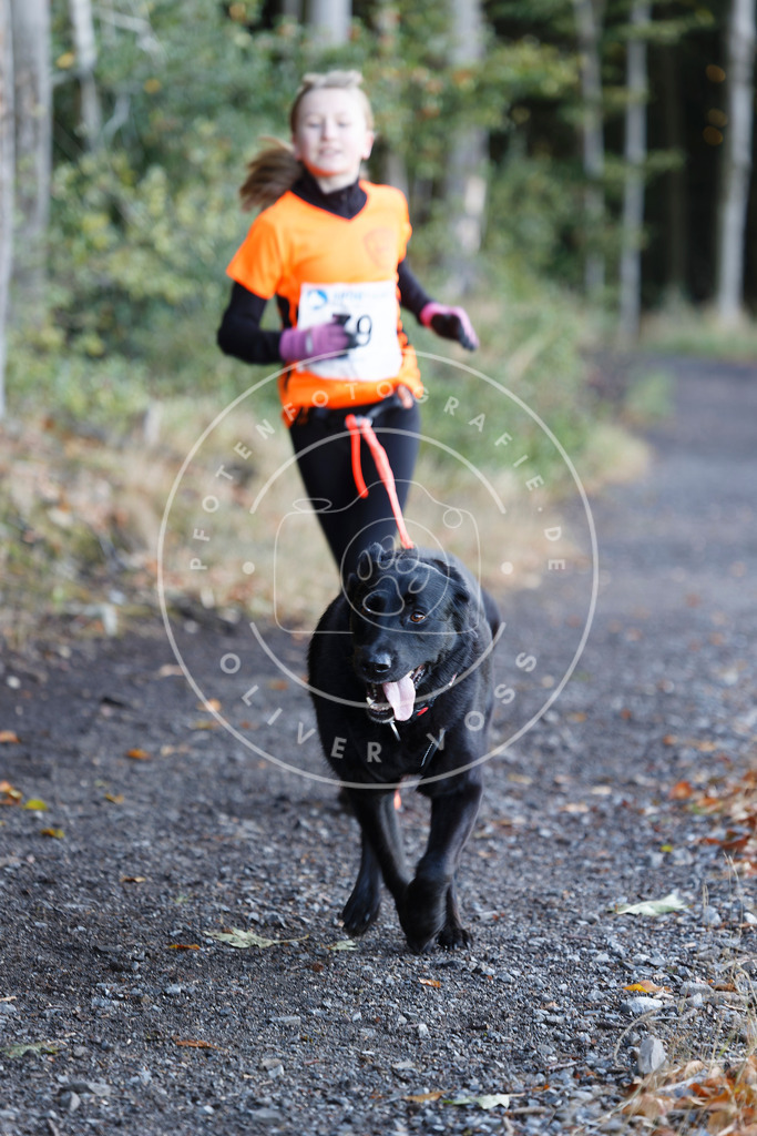 0L8A2058 | Hundefotografie, Tierfotograf, Pfotenfotografie, Fotoshooting Hund, Hunde Portrait, Hundesport, Hundeportraits, Heideshooting, Hunde, Sportfotograf, Hundefotograf, Turnierhundsport, THS,  - Realisiert mit Pictrs.com