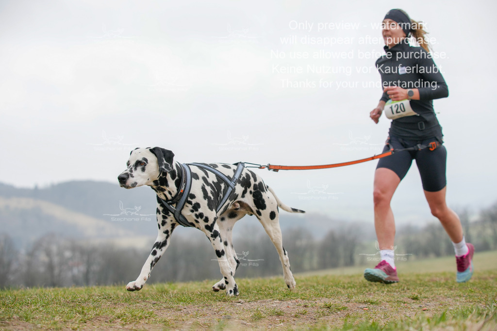 Canixlong-339 | stephaniefillaphotographie - Realisiert mit Pictrs.com