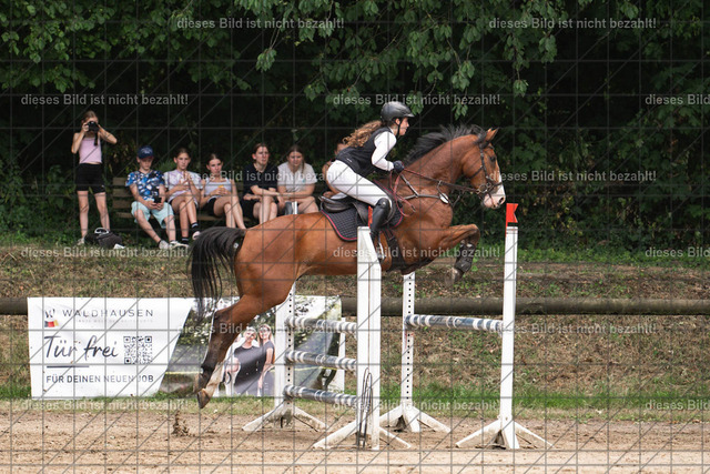 DSC_7831 | Elisabeth Schleppi - Realisiert mit Pictrs.com