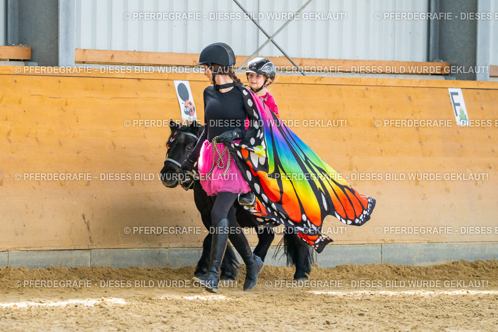 DSC00576 | Pferdegrafie