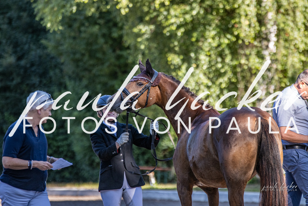IMG_7870 | Erleben Sie dynamische Sport- und emotionale Tierfotografie in Süddeutschland mit Fotos von Paula. Spezialisiert auf Pferde- und Hundefotografie sowie Sportevents. Kontaktieren Sie mich für einzigartige und ausdrucksstarke Bilder Ihrer besonderen Momente.