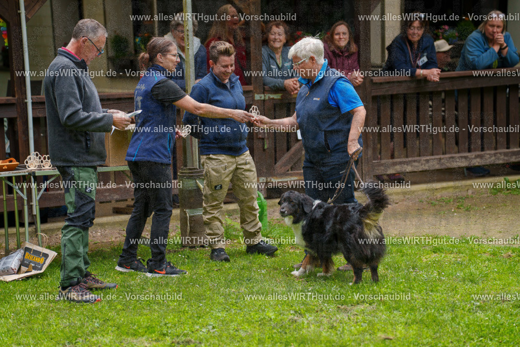 @allesWIRTHgut_Tierfotografie - www.allesWIRTHgut.de - 114955-7R508604 | Professionelle Tierfotografie in Mönchengladbach von Daniel Wirth (allesWIRTHgut). Liebevolle & natürliche Bilder von Hunden & Katzen für unvergessliche Erinnerungen.