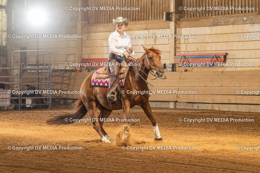 NID01944 | dv-media-shop - Realisiert mit Pictrs.com