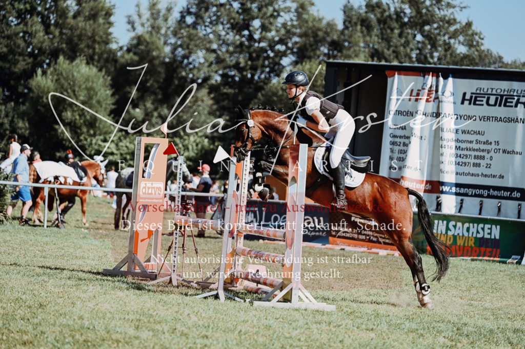 DSC_6828 | Pferde- und Turnierfotografie in Westsachsen. Pferdeportraits, Auftragszeichnungen und intuitive Kunst.