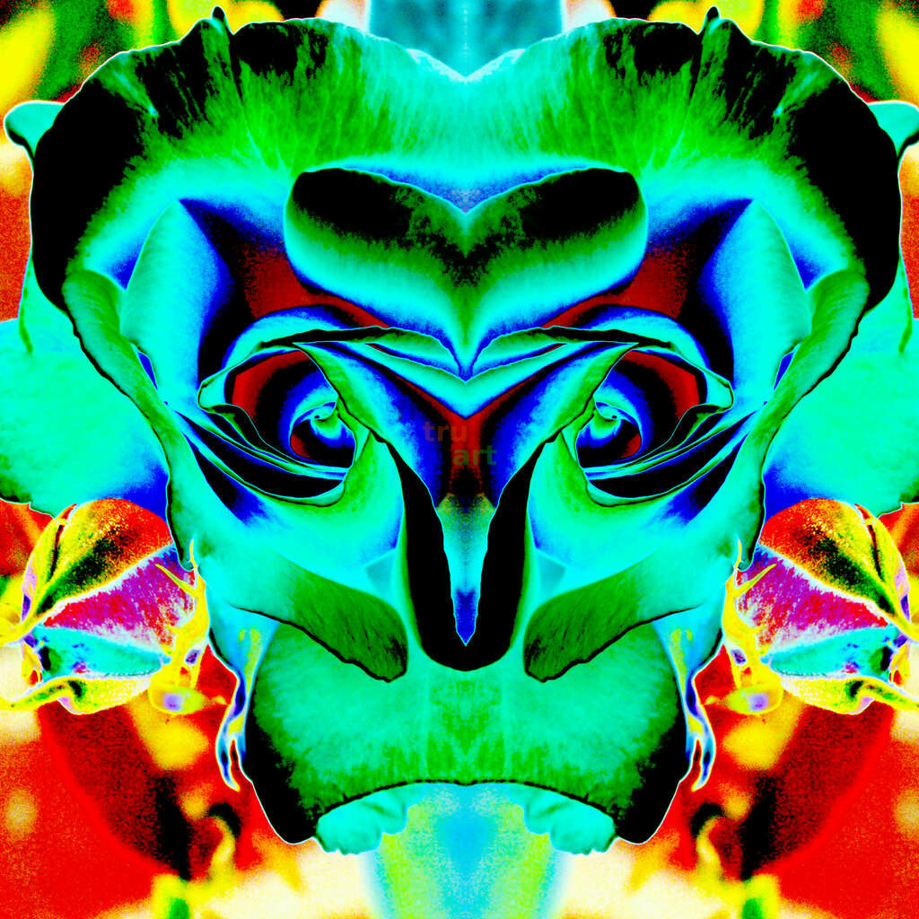 Rosen Schlangen Kopf | Moderne Digital Art – Exklusive Kunstwerke für dein Zuhause
Entdecke einzigartige Digital Art und verleihe deinen Räumen eine moderne und stilvolle Atmosphäre. Unsere hochwertigen Kunstdrucke kombinieren innovative Technik mit künstlerischer Kreativität und bringen abstrakte, geometrische und futuristische Designs direkt an deine Wand.
✔ Hochauflösende Drucke in brillanten Farben
✔ Exklusive Motive von talentierten Digital Artists
✔ Verschiedene Formate für jeden Raum und Stil
✔ Perfekt als Wandkunst für Wohnzimmer, Büro oder Galerie
Lass dich von unserer modernen, abstrakten und minimalistischen Kunst inspirieren und finde dein neues Lieblingsmotiv! Jetzt bestellen und dein Zuhause mit hochwertiger Digital Art verschönern.
 - Realisiert mit Pictrs.com