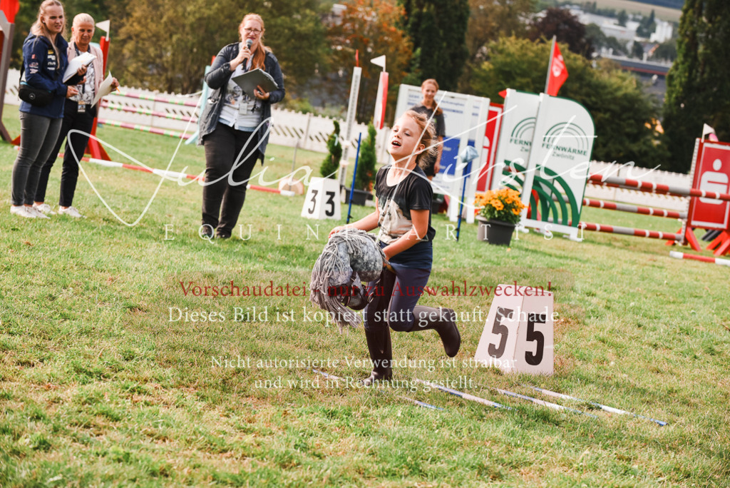 DSC_4725 | Pferde- und Turnierfotografie in Westsachsen. Pferdeportraits, Auftragszeichnungen und intuitive Kunst.