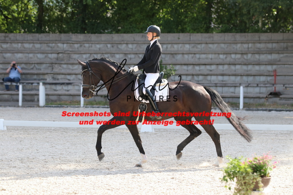 IMG_5768 | lmwpictures - Realisiert mit Pictrs.com