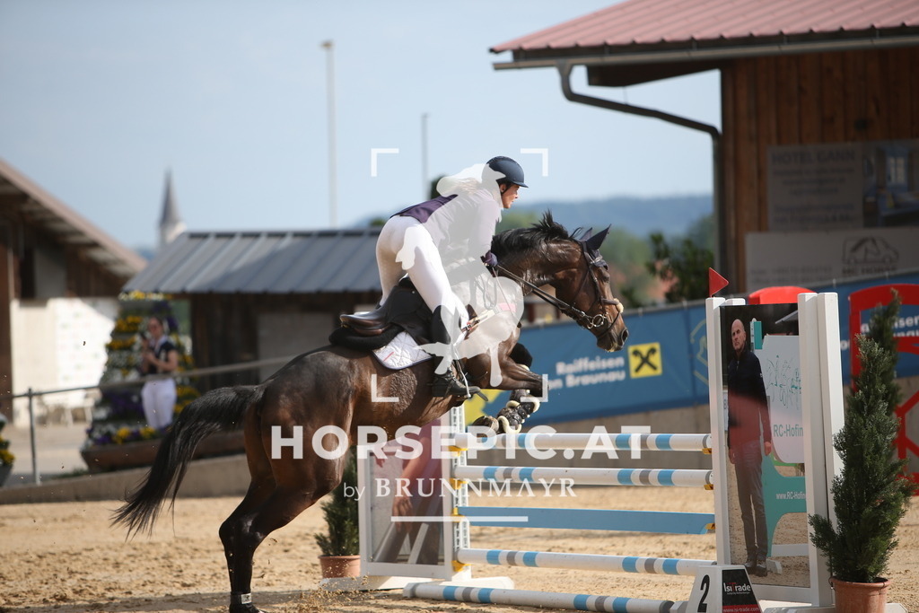 PP016995 | Willkommen bei Brunnmayr - Design & Fotografie – Ihrem Spezialisten für Reitturniere und Pferdeveranstaltungen in Oberösterreich, Salzburg und Bayern! Seit über 17 Jahren sind wir leidenschaftlich dabei.