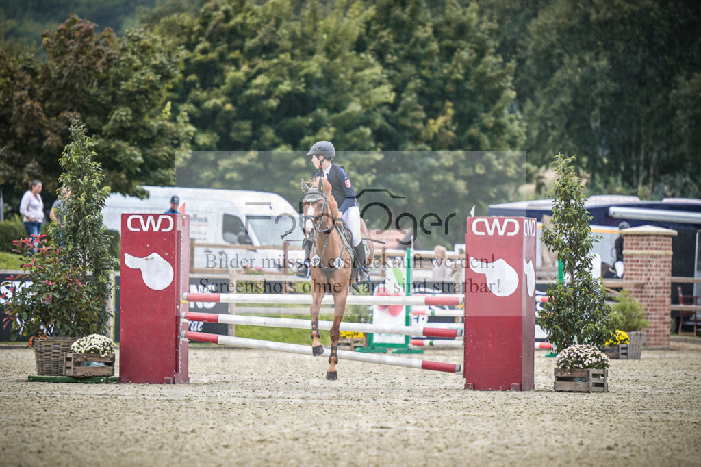 DOS_0020 | Entdecke hochwertige Reitturnierfotos von Foto Oger. Professionell, emotional und authentisch – jetzt Lieblingsmomente im Shop bestellen.Deutschlandweite Turnierfotografie. - Realisiert mit Pictrs.com
