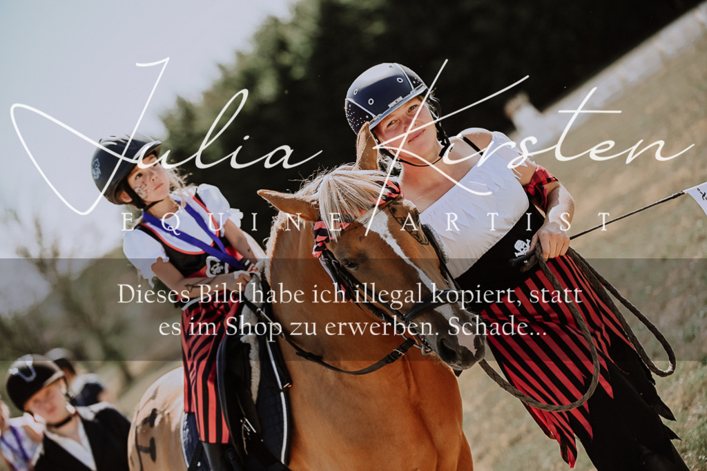 DSC_9076 | Pferde- und Turnierfotografie in Westsachsen. Pferdeportraits, Auftragszeichnungen und intuitive Kunst.
