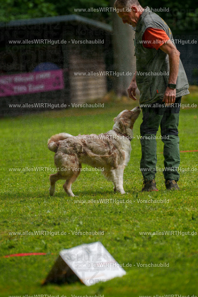 @allesWIRTHgut_Tierfotografie - www.allesWIRTHgut.de - 7R502821 | Professionelle Tierfotografie in Mönchengladbach von Daniel Wirth (allesWIRTHgut). Liebevolle & natürliche Bilder von Hunden & Katzen für unvergessliche Erinnerungen.