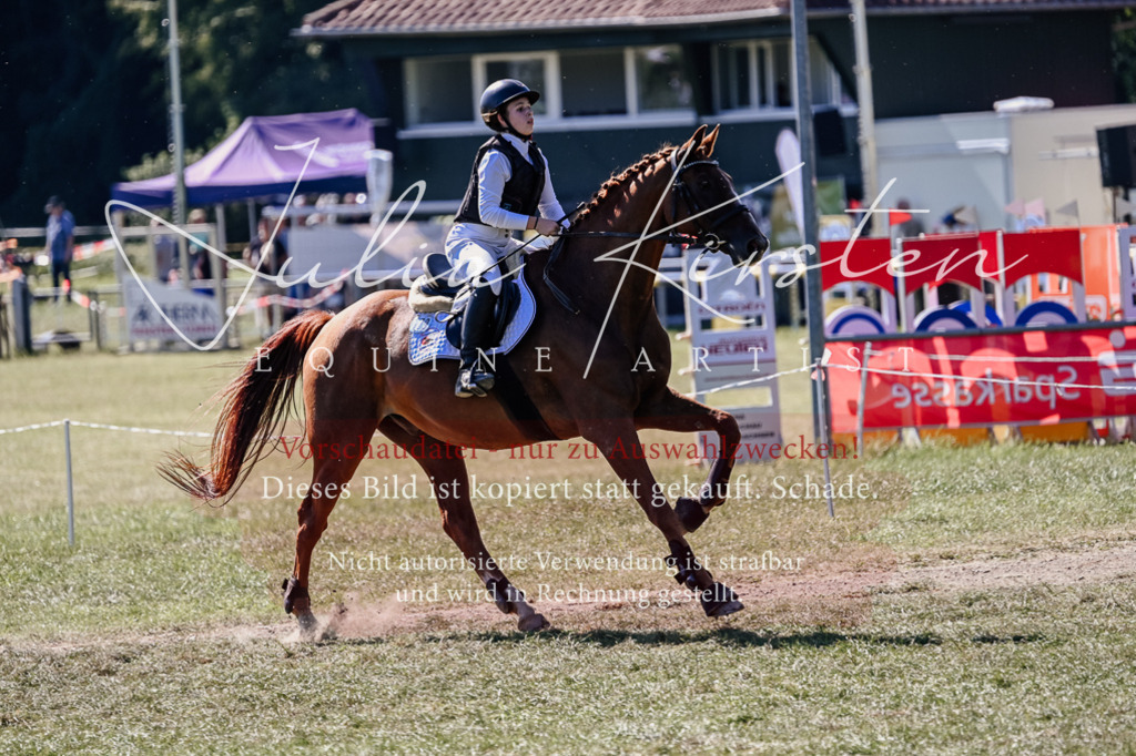 DSC_2661 | Pferde- und Turnierfotografie in Westsachsen. Pferdeportraits, Auftragszeichnungen und intuitive Kunst.