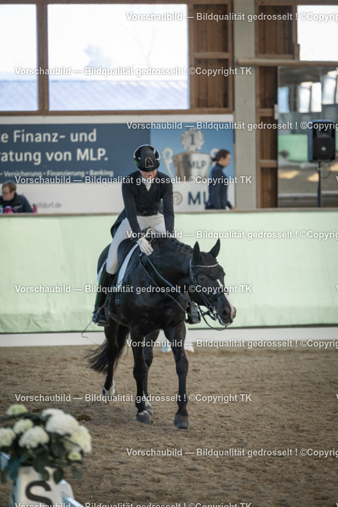 _D5A0818 | Emotionale Pferde- & People-Fotografie rund um Heidelberg, Leimen & Umgebung. Natürliche Fotos von Pferd, Mensch & Familie. Jetzt Termin sichern!