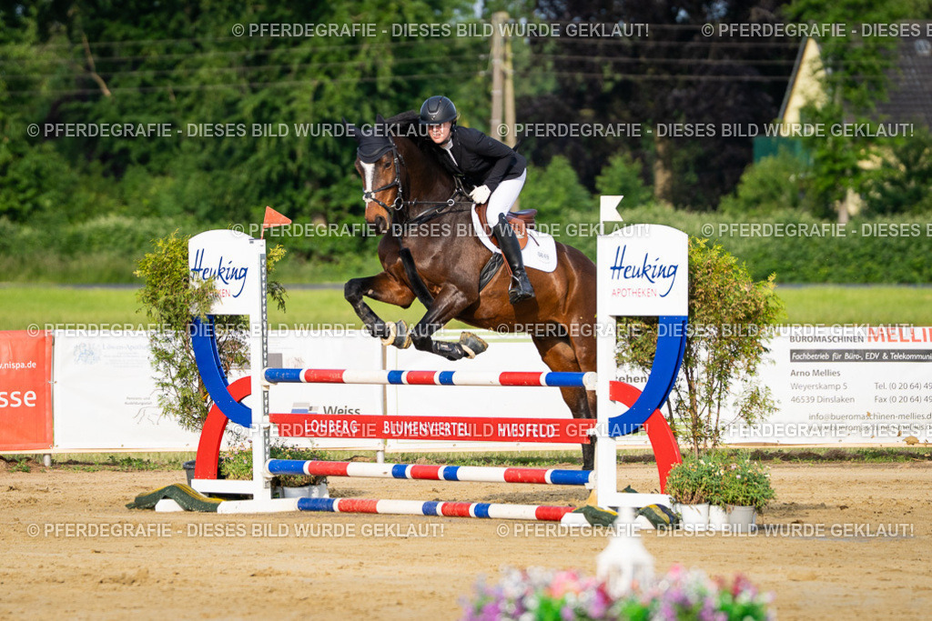 DSC02371 | Pferdegrafie