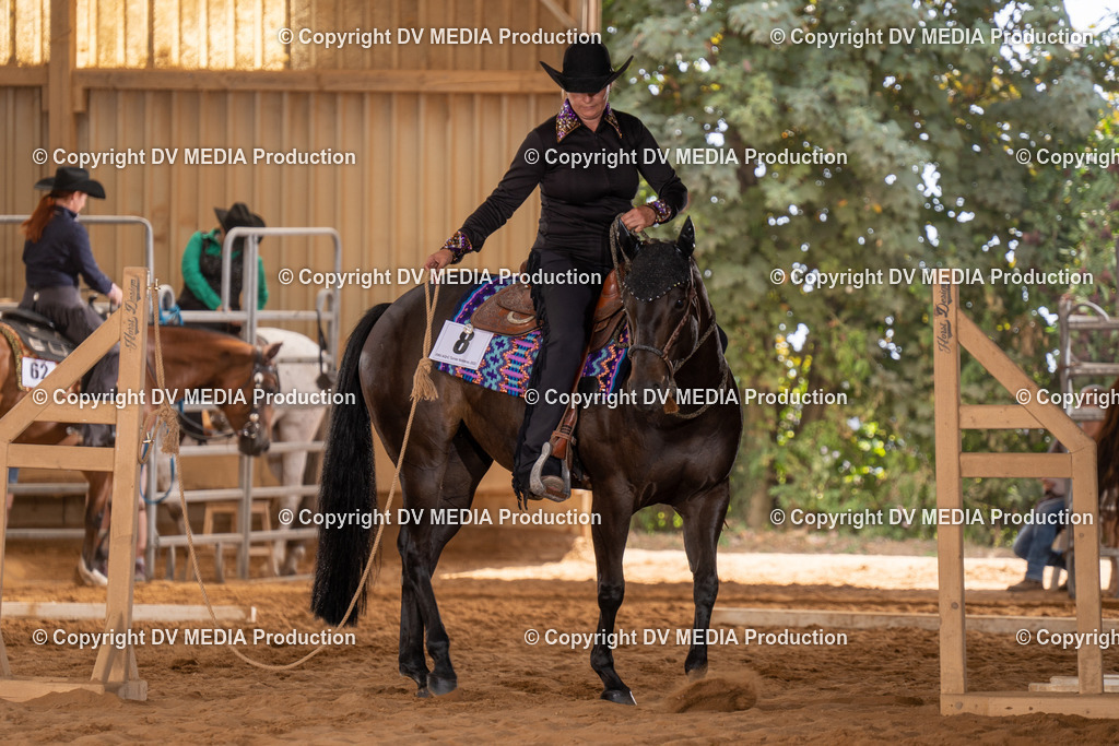 NID00523 | dv-media-shop - Realisiert mit Pictrs.com