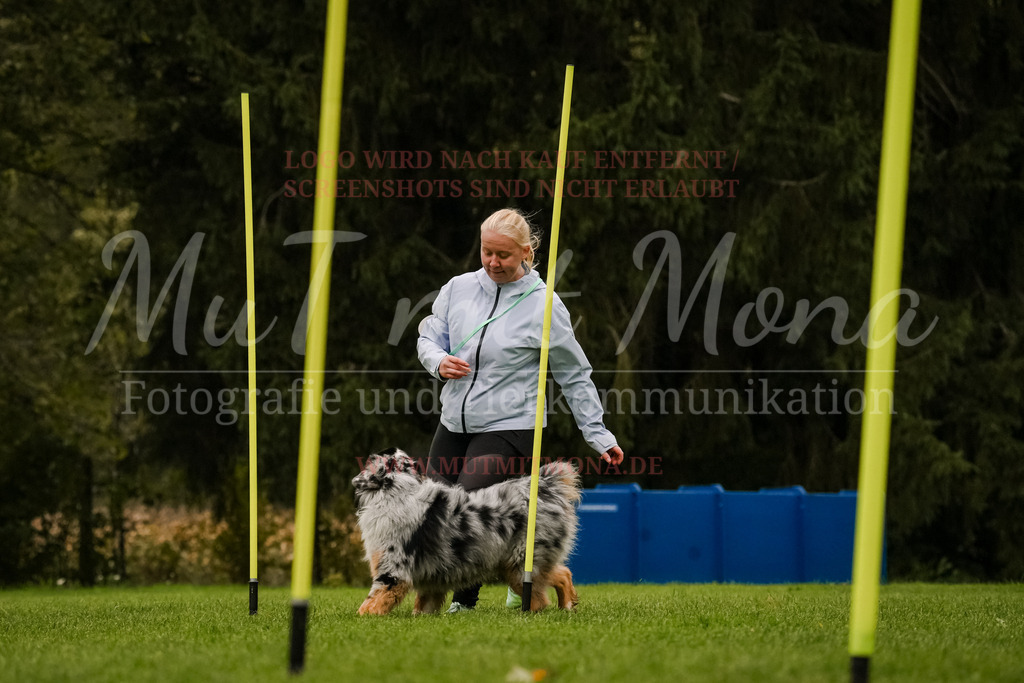 20251005_THS_Turnier-497 | MuT (Mensch und Tier) mit Mona - Fotografie und Tierkommunikation - Realisiert mit Pictrs.com