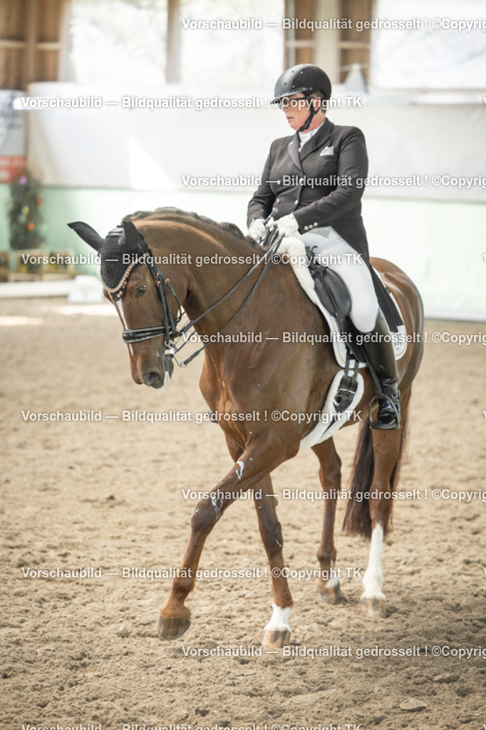 _D5A5339 | Emotionale Pferde- & People-Fotografie rund um Heidelberg, Leimen & Umgebung. Natürliche Fotos von Pferd, Mensch & Familie. Jetzt Termin sichern!