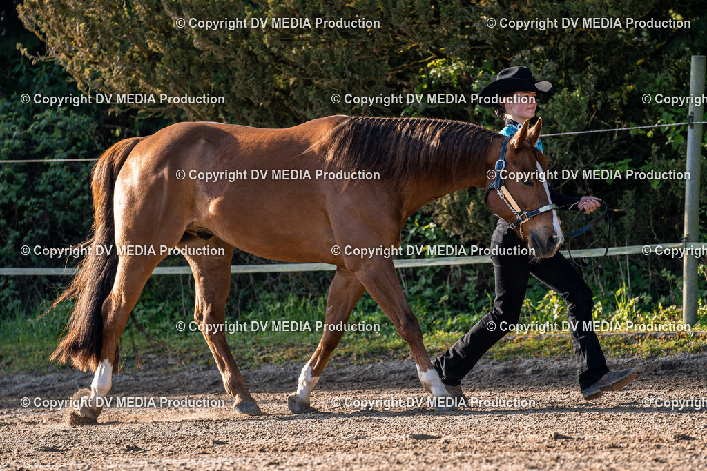 Balingen Tag 4-45 | dv-media-shop - Realisiert mit Pictrs.com