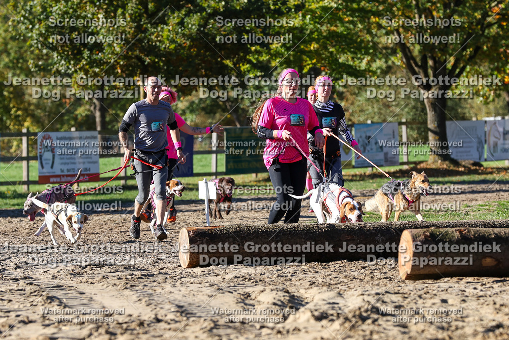 Dog Paparazzi - Strongdog 10-25-1938 | Dog Paparazzi Jeanette Grottendiek Fotografie & Videografie - Realisiert mit Pictrs.com