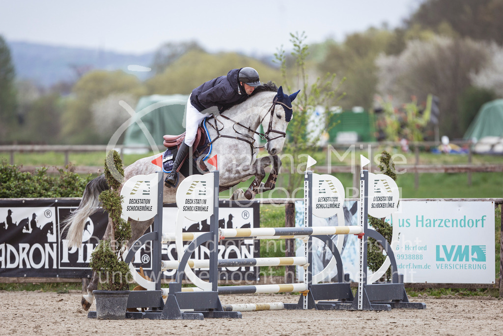 250417_Springpferde-A1-141 | Deine schönsten Turniermomente als professionelle Fotos! Entdecke hochwertige Pferdesport-Fotografie im Online-Shop. Jetzt Fotos finden & bestellen!