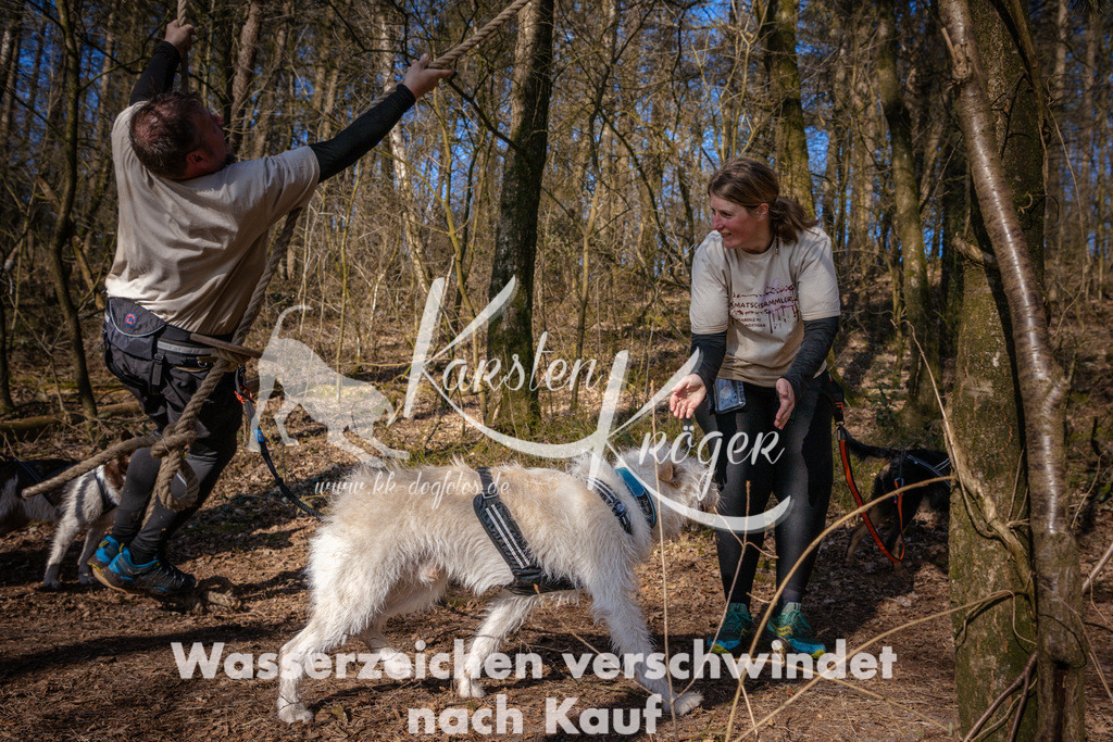 0913_ZZ96631 | kk-dogfotos