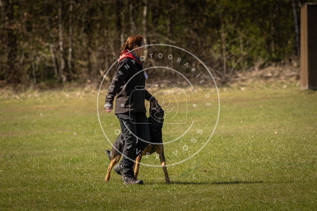Pfotenfotografie_DV3A0941 | Hundefotografie, Tierfotograf, Pfotenfotografie, Fotoshooting Hund, Hunde Portrait, Hundesport, Hundeportraits, Heideshooting, Hunde, Sportfotograf, Hundefotograf, Turnierhundsport, THS,  - Realisiert mit Pictrs.com