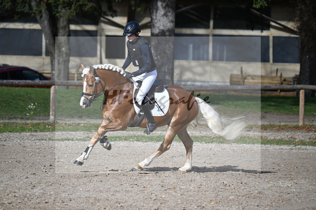 Kat-Nr. 10 Winnetou on fire v. Walzerblick_Keller_43250505 | hf-fotografie - Realized with Pictrs.com