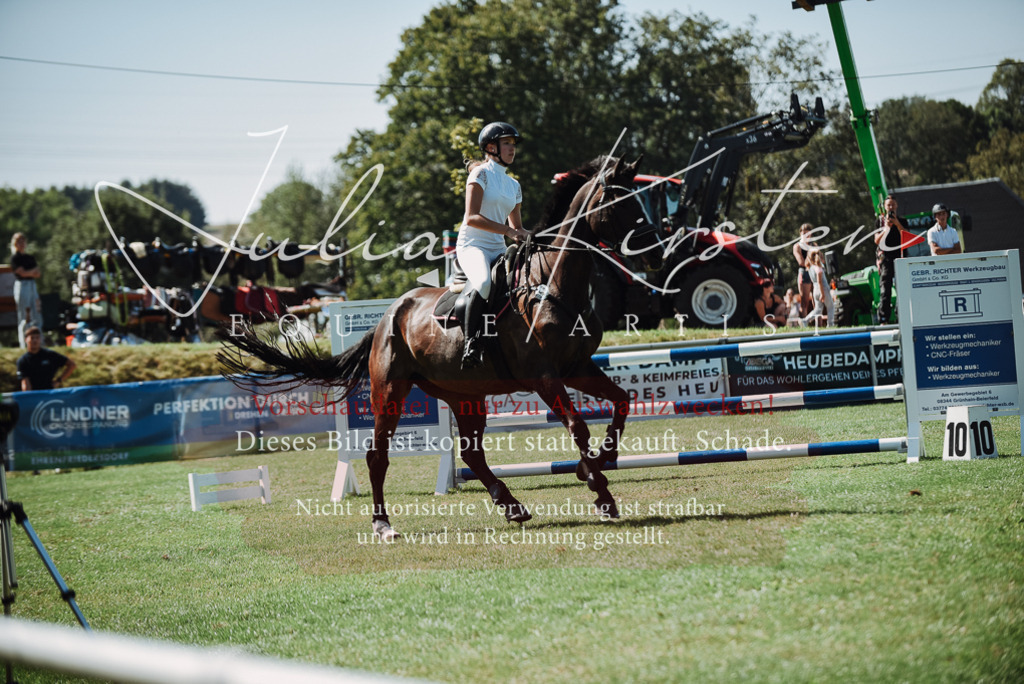 DSC_3127 | Pferde- und Turnierfotografie in Westsachsen. Pferdeportraits, Auftragszeichnungen und intuitive Kunst.