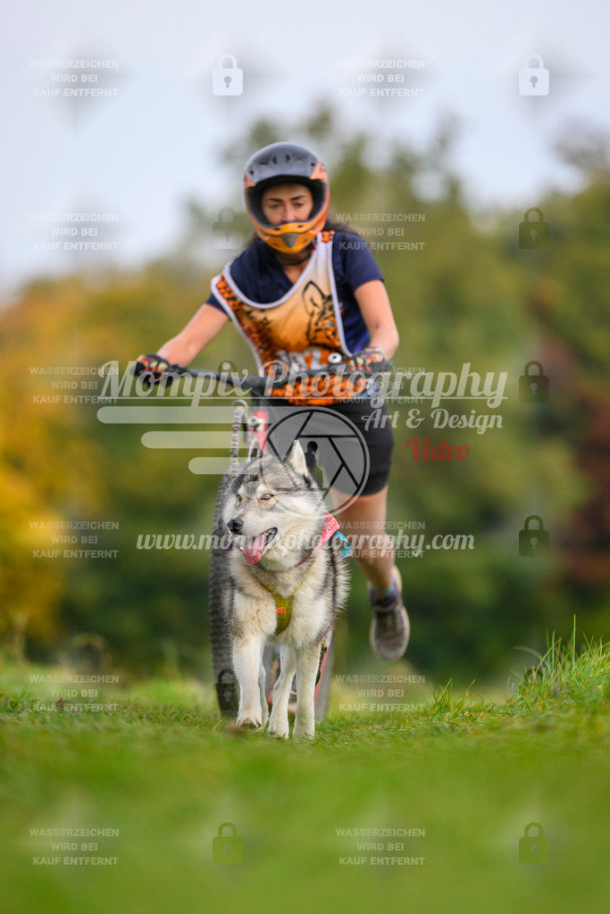 MompixPhotography_CDLBDB2025_DI_DS-101 | PayLife