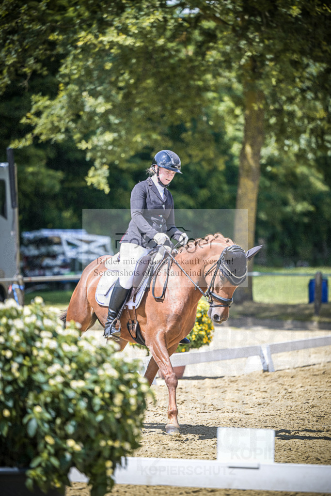 DOS_5237 | Entdecke hochwertige Reitturnierfotos von Foto Oger. Professionell, emotional und authentisch – jetzt Lieblingsmomente im Shop bestellen.Deutschlandweite Turnierfotografie. - Realisiert mit Pictrs.com