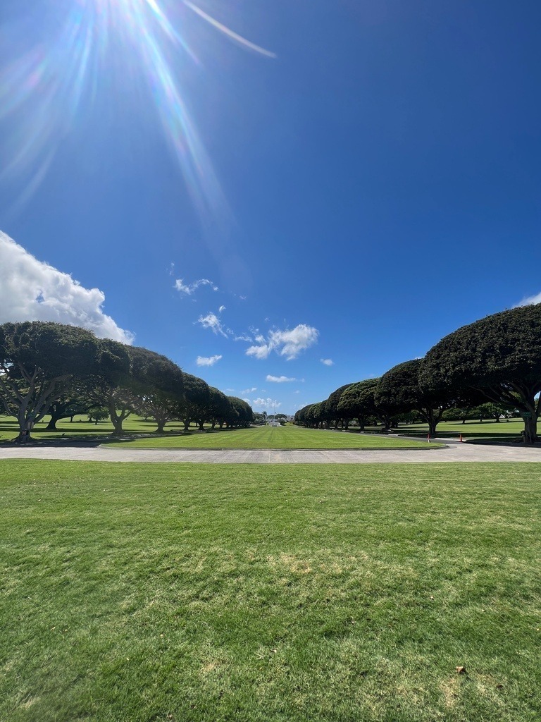 IMG_7871 | ace - Realisiert mit Pictrs.com