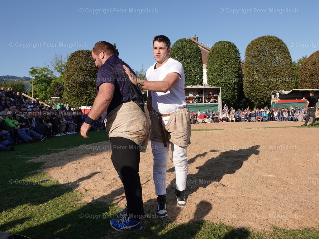 DSC05532 | Schwingen - Realisiert mit Pictrs.com