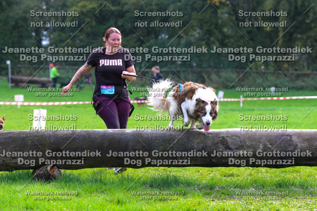 Dog Paparazzi -  SD1026-2173 | Dog Paparazzi Jeanette Grottendiek Fotografie & Videografie - Realisiert mit Pictrs.com