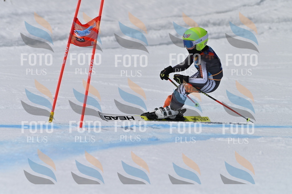 BGV_6331 | holidayphoto