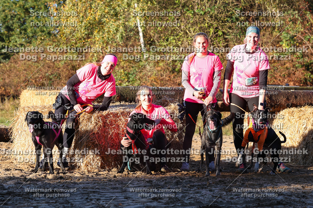 Dog Paparazzi - Strongdog 10-25-874 | Dog Paparazzi Jeanette Grottendiek Fotografie & Videografie - Realisiert mit Pictrs.com