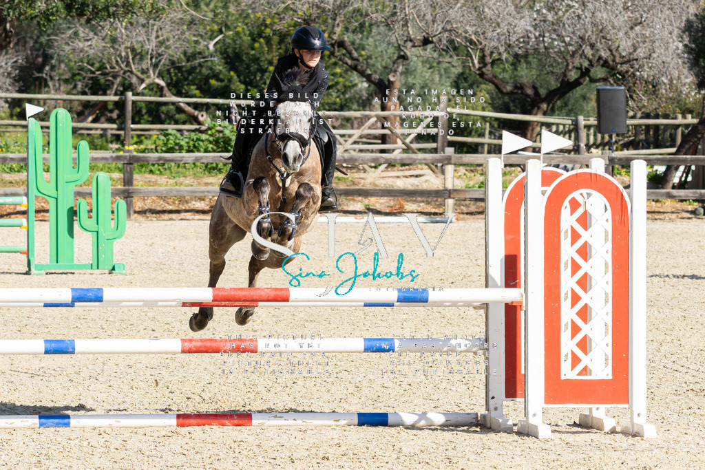 IMG_3840 | s-jay-photography - Realisiert mit Pictrs.com